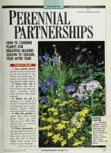 Better Homes & Gardens May 1989 Magazine Article: PERENNIAL PARTNERSHIPS