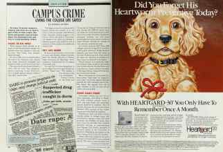 Better Homes & Gardens May 1989 Magazine Article: Page 40