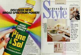 Better Homes & Gardens May 1989 Magazine Article: Page 80