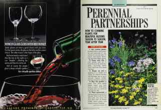 Better Homes & Gardens May 1989 Magazine Article: Page 110