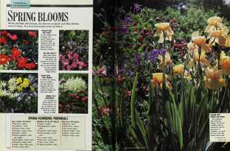 Better Homes & Gardens May 1989 Magazine Article: Page 112