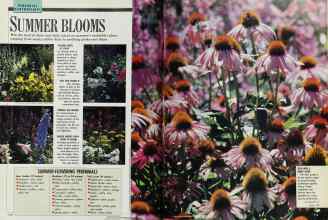 Better Homes & Gardens May 1989 Magazine Article: Page 114