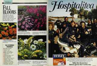Better Homes & Gardens May 1989 Magazine Article: Page 116