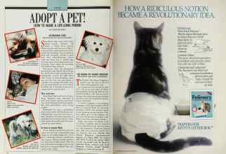 Better Homes & Gardens May 1989 Magazine Article: Page 172