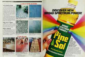 Better Homes & Gardens June 1989 Magazine Article: Page 118