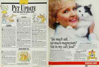 Better Homes & Gardens June 1989 Magazine Article: Page 162