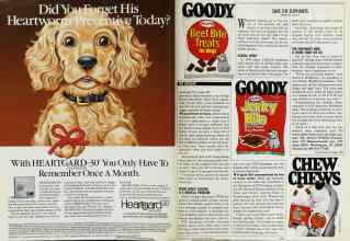 Better Homes & Gardens June 1989 Magazine Article: Page 164