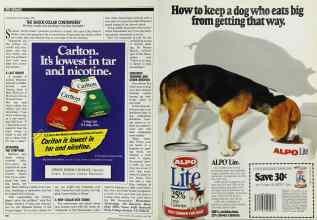 Better Homes & Gardens June 1989 Magazine Article: Page 166