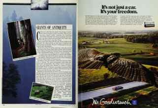 Better Homes & Gardens June 1989 Magazine Article: Page 170