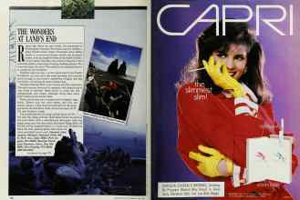 Better Homes & Gardens June 1989 Magazine Article: Page 176