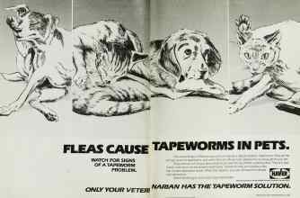 Better Homes & Gardens July 1989 Magazine Article: Page 8