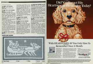 Better Homes & Gardens July 1989 Magazine Article: Page 110