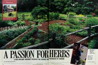 Better Homes & Gardens August 1989 Magazine Article: A PASSION FOR HERBS