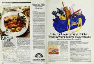 Better Homes & Gardens August 1989 Magazine Article: Page 106