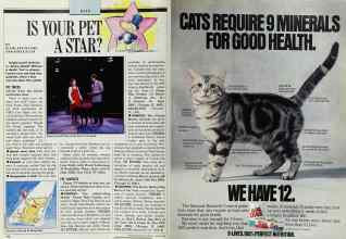 Better Homes & Gardens August 1989 Magazine Article: Page 132