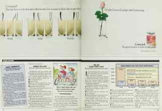 Better Homes & Gardens September 1989 Magazine Article: Page 54