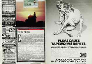 Better Homes & Gardens September 1989 Magazine Article: Page 176