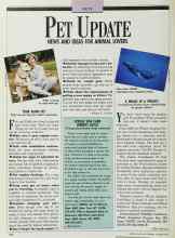 Better Homes & Gardens October 1989 Magazine Article: A WHALE OF A PROJECT