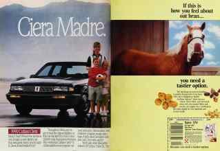 Better Homes & Gardens October 1989 Magazine Article: Page 24