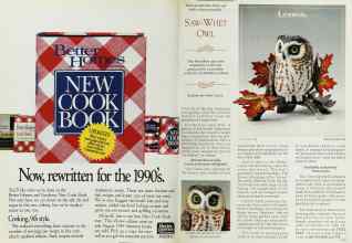 Better Homes & Gardens October 1989 Magazine Article: Page 26