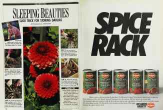 Better Homes & Gardens October 1989 Magazine Article: Page 120