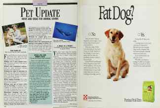 Better Homes & Gardens October 1989 Magazine Article: Page 168