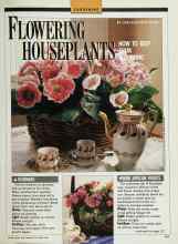 Better Homes & Gardens November 1989 Magazine Article: FLOWERING HOUSEPLANTS