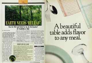 Better Homes & Gardens November 1989 Magazine Article: Page 28