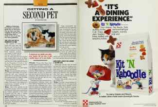 Better Homes & Gardens November 1989 Magazine Article: Page 206