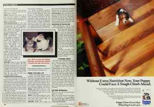 Better Homes & Gardens November 1989 Magazine Article: Page 208