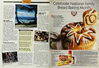 Better Homes & Gardens November 1989 Magazine Article: Page 214