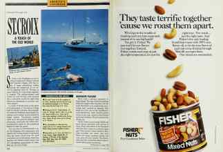 Better Homes & Gardens November 1989 Magazine Article: Page 216