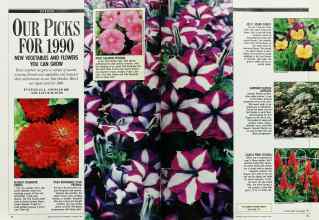 Better Homes & Gardens January 1990 Magazine Article: OUR PICKS FOR 1990