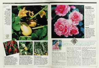 Better Homes & Gardens January 1990 Magazine Article: Page 76