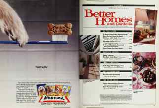 Better Homes & Gardens February 1990 Magazine Article: Page 4