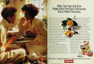 Better Homes & Gardens February 1990 Magazine Article: Page 8