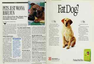 Better Homes & Gardens February 1990 Magazine Article: Page 132