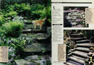 Better Homes & Gardens April 1990 Magazine Article: Page 24