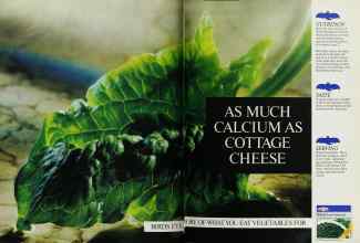 Better Homes & Gardens April 1990 Magazine Article: Page 134