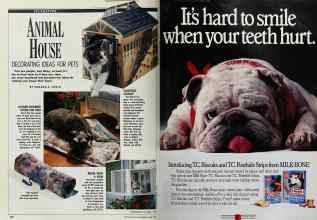Better Homes & Gardens April 1990 Magazine Article: Page 140
