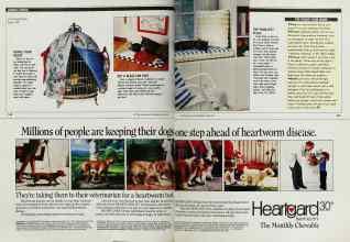Better Homes & Gardens April 1990 Magazine Article: Page 142