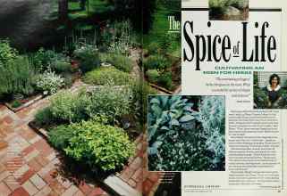 Better Homes & Gardens May 1990 Magazine Article: The Spice of Life