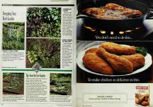 Better Homes & Gardens May 1990 Magazine Article: Page 26