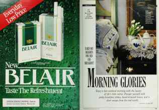 Better Homes & Gardens May 1990 Magazine Article: Page 102