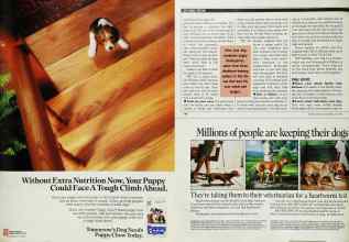Better Homes & Gardens May 1990 Magazine Article: Page 183