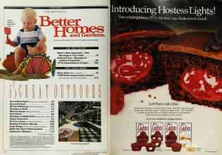 Better Homes & Gardens June 1990 Magazine Article: Page 2