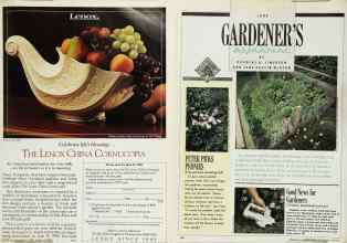 Better Homes & Gardens June 1990 Magazine Article: Page 117