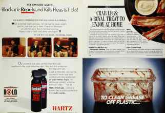 Better Homes & Gardens June 1990 Magazine Article: Page 119