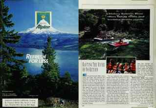 Better Homes & Gardens June 1990 Magazine Article: Page 163