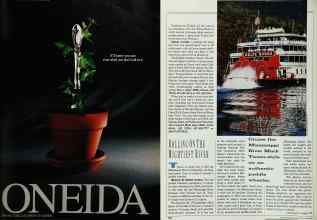 Better Homes & Gardens June 1990 Magazine Article: Page 167
